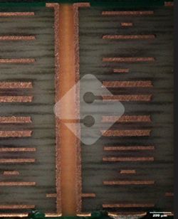 AG�콢��|�й�Ψһ�ٷ���վ