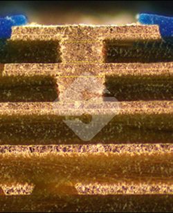 AG�콢��|�й�Ψһ�ٷ���վ